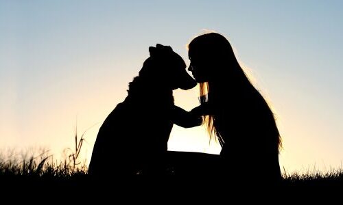 Extensive Certificate Course of Telepathic Communication with Animals & Nature (ECC- TCAN)